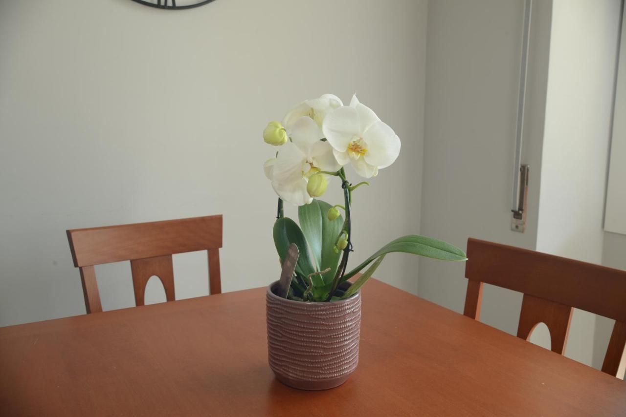 Apartamento Regis Citra 00855ltn1108